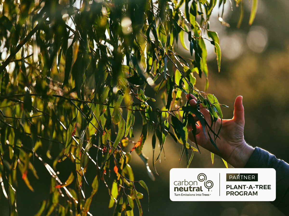 Gifts for Good: One Tree Planted